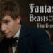 Fantastic Beasts and Where to Find Them Feature Image